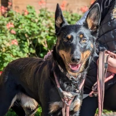 Leela