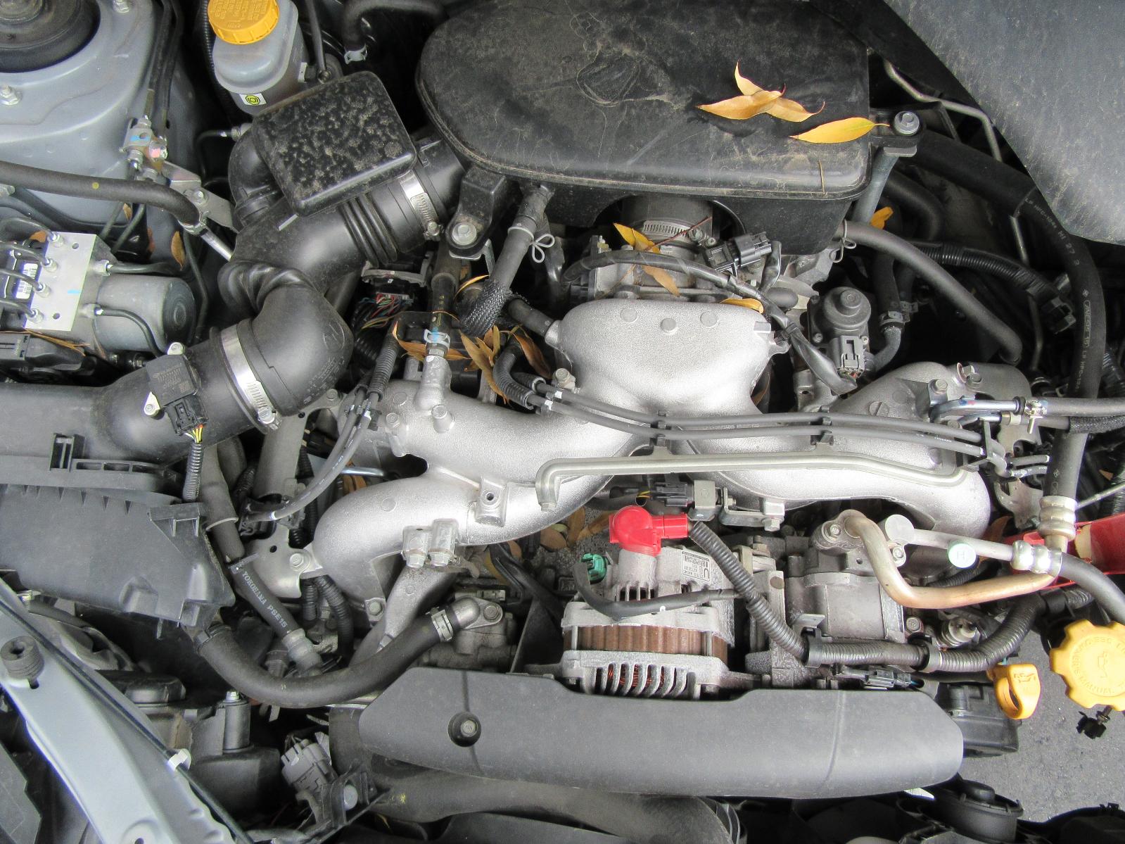 View Auto part Right Front Window Reg/Motor Subaru Forester 2009