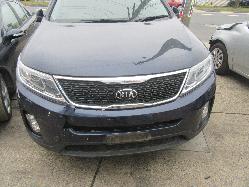 View Auto part Right Guard Kia Sorento 2013