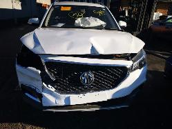 View Auto part Left Indicator/Fog/Side Mg Zs 2020