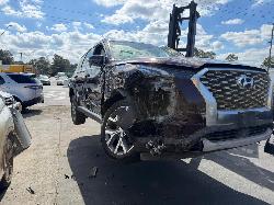 View Auto part Hatch Strut Hyundai Palisade 2021