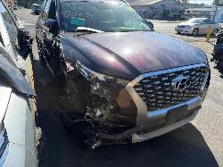 View Auto part Hatch Strut Hyundai Palisade 2021