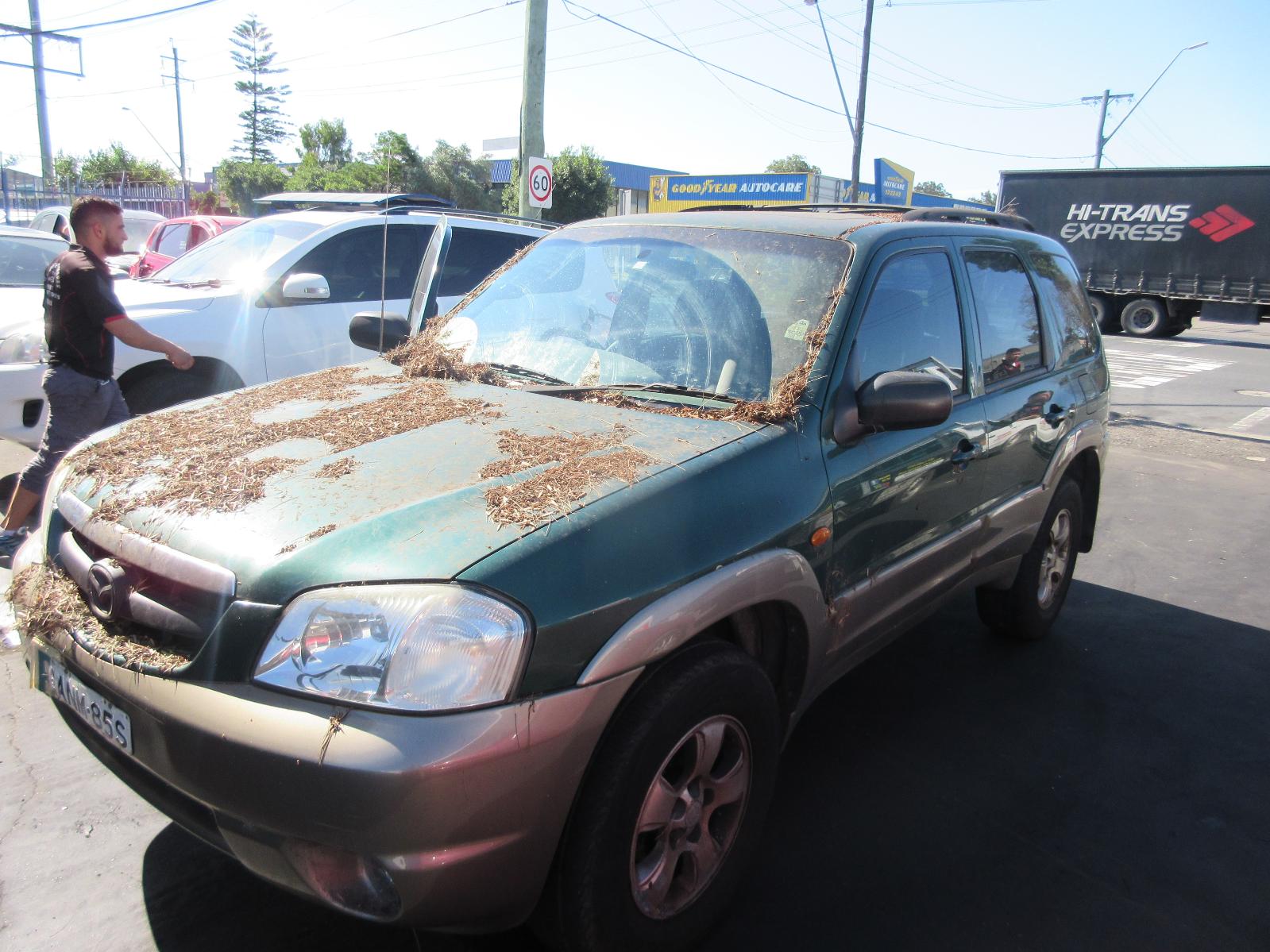View Auto part Right Headlamp Mazda Tribute 2002