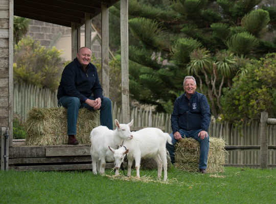 Naturescommonscents tile 2017