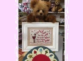 Gingerbears of benalla jpeg