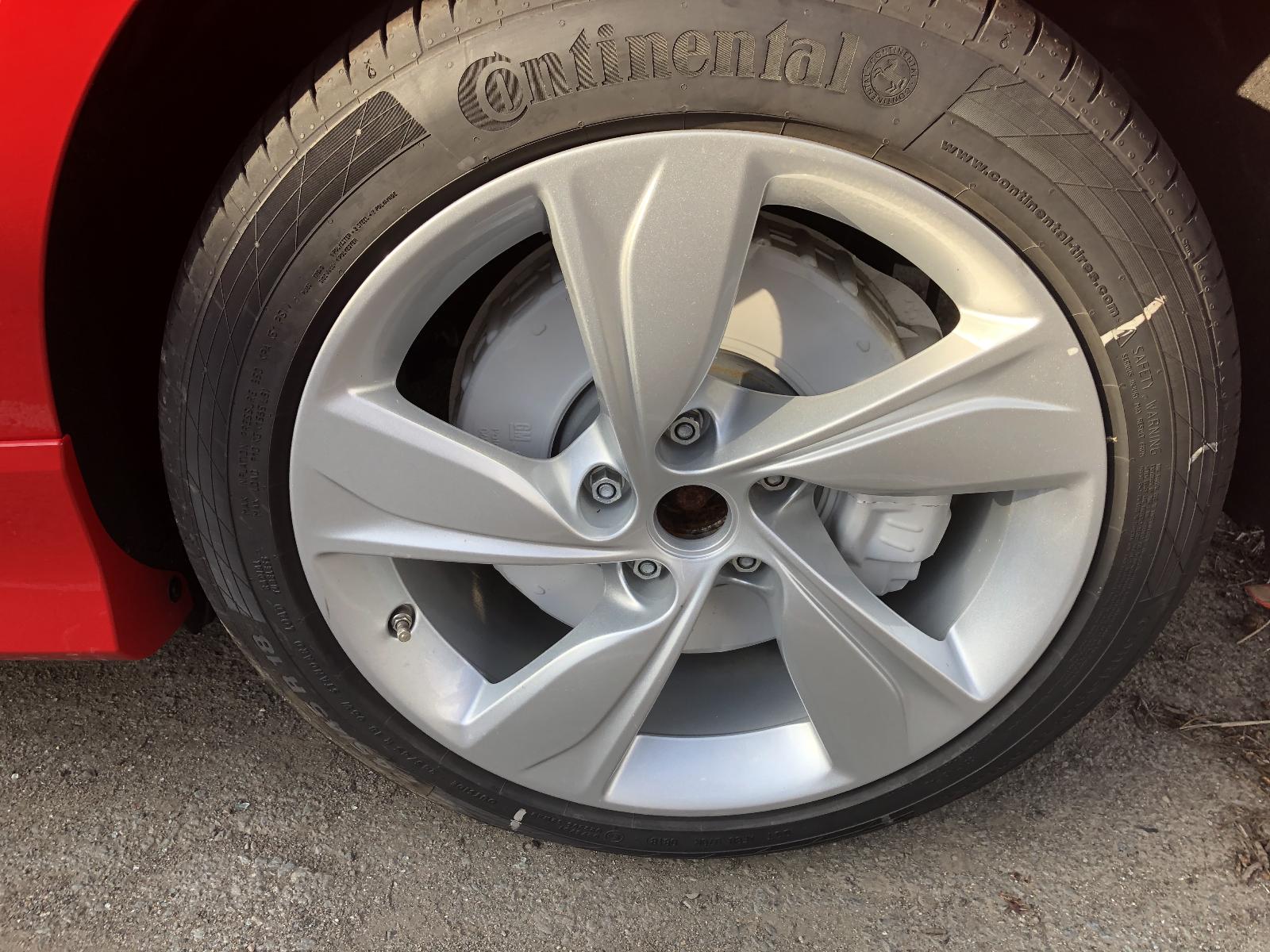 Rear Coil Spring Commodore Holden 2020