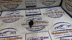 View Auto part Misc Ldv D90 2018