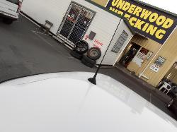 View Auto part Antenna Mini Cooper 2003