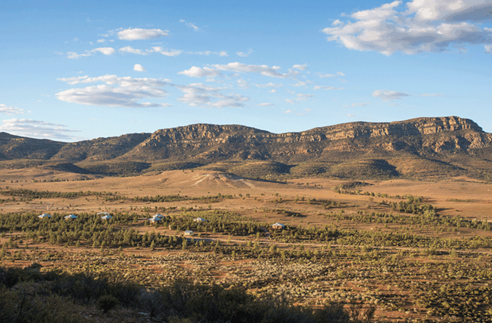 New Unmissable Flinders Ranges Murray River And Kangaroo Island Packages Murray Princess