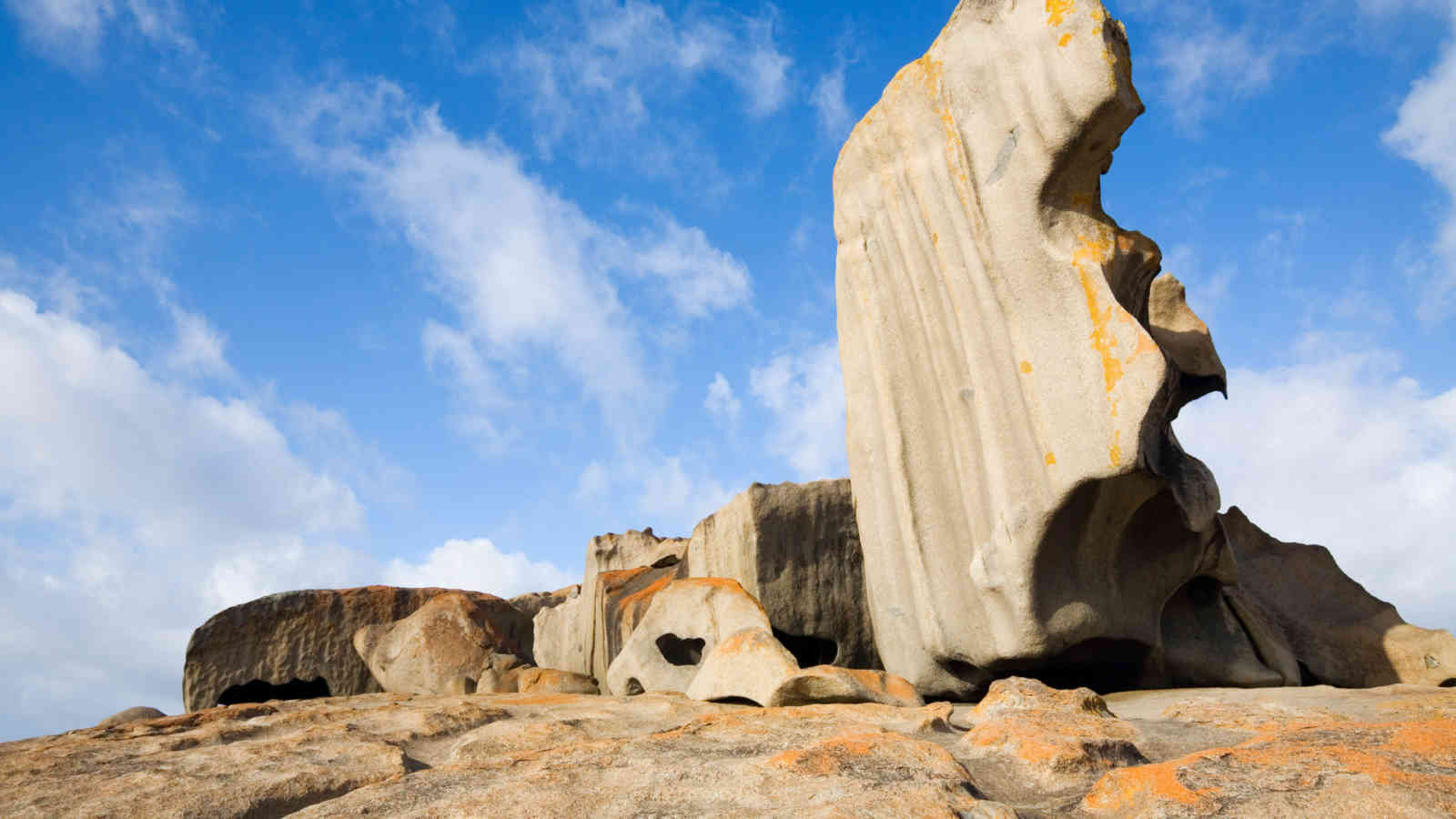 Last Minute Accommodation Kangaroo Island Last Minute Accommodation Kangaroo Island