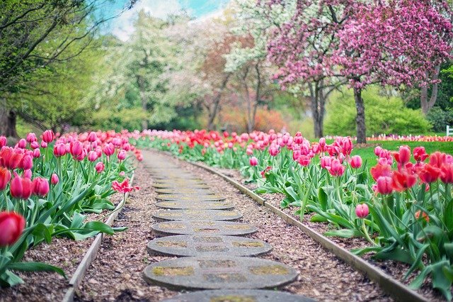 4 great ways to care for your garden in winter