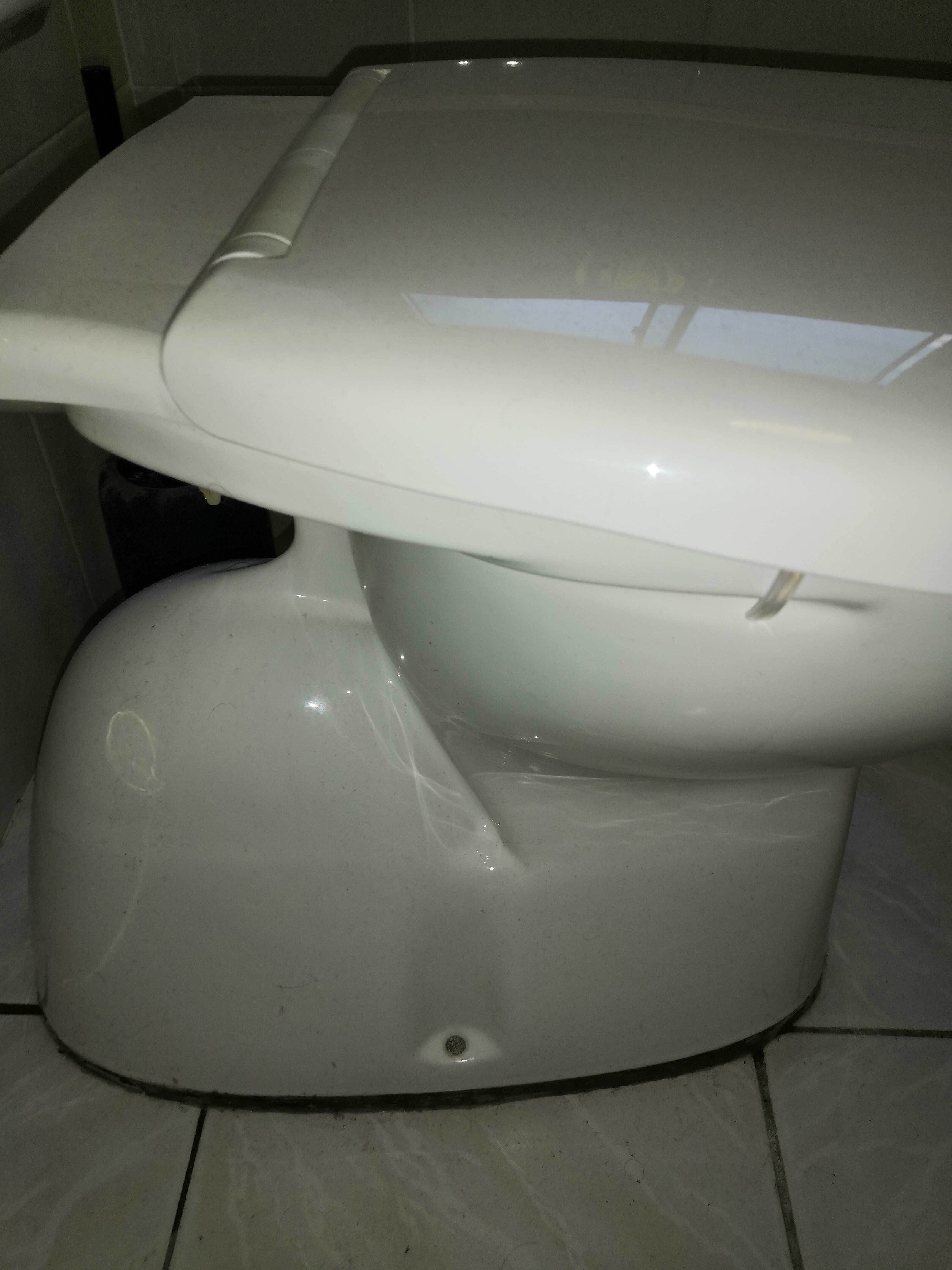 Cement Wobbling Toilet Pan Tiled Floor Plumber required in St Leonards