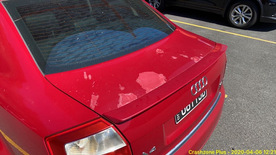 Audi Needs Complete Respray Clear Coat Car detailer required in