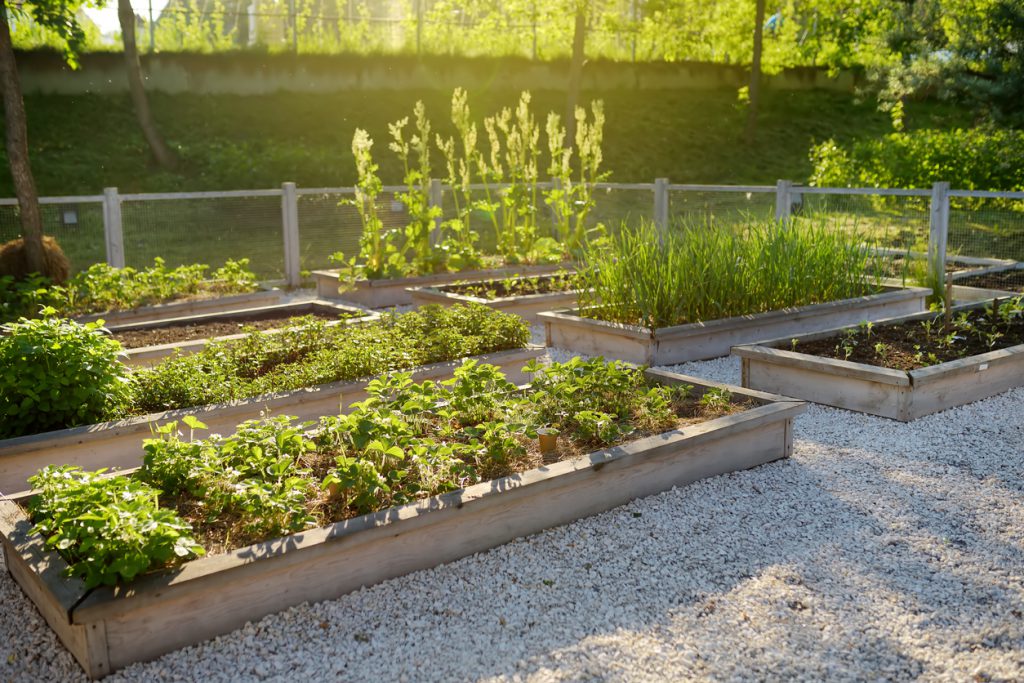 Compost options near you