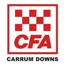 Carrum Downs Fire Brigade logo