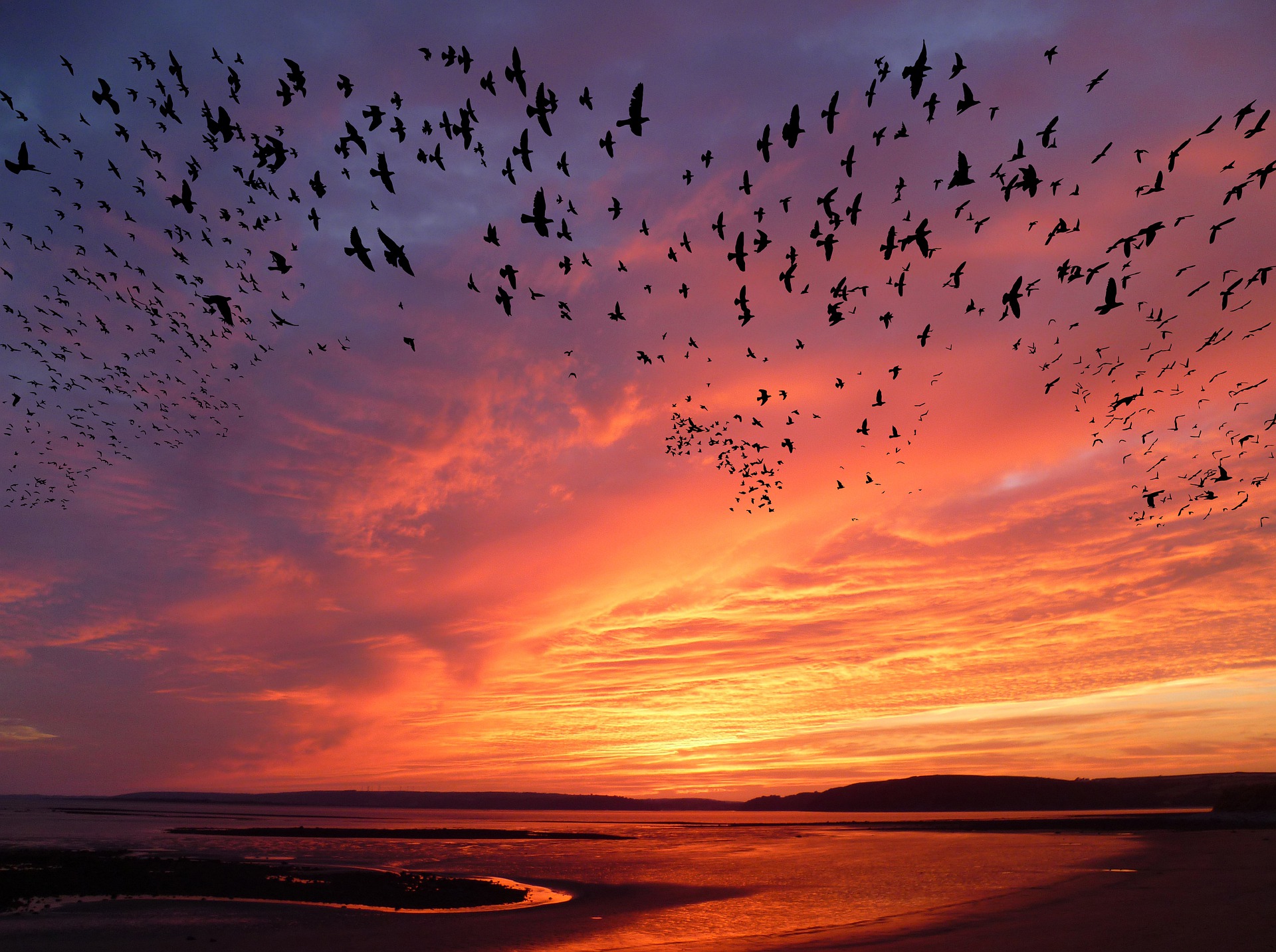 2018-19 Migration Program