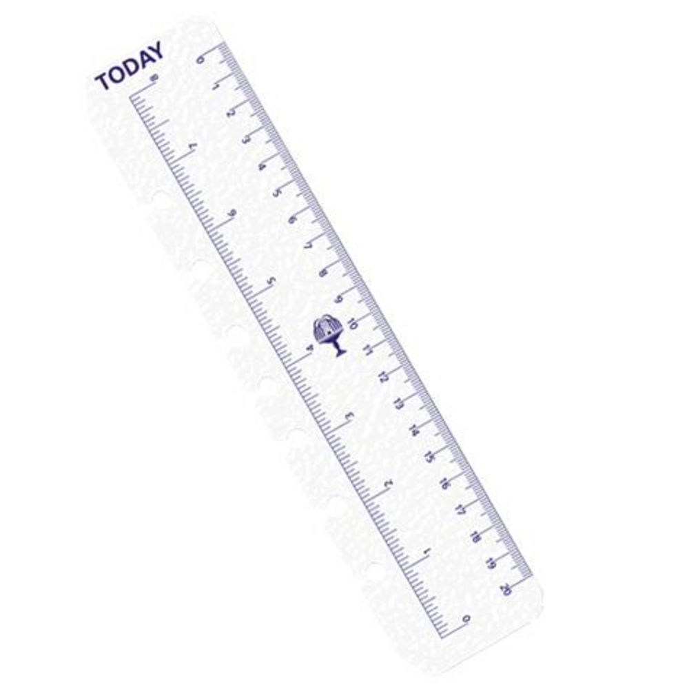 Collins Debden Dayplanner Today Ruler Refill 2 Pack