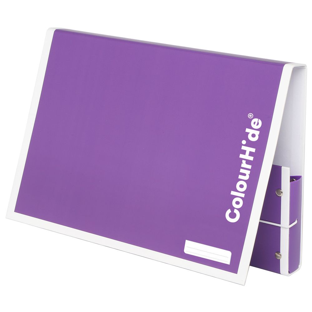 ColourHide My Handy Document Box A4 Purple
