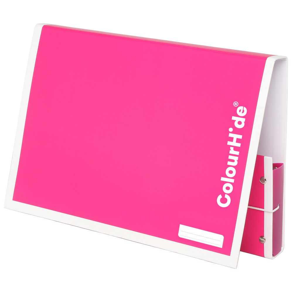 ColourHide My Handy Document Box A4 Pink