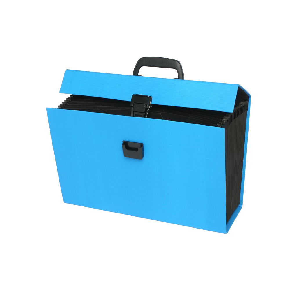 ColourHide My Trusty Expanding Carry File Blue