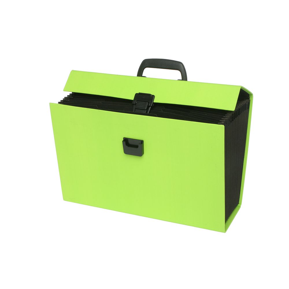 ColourHide My Trusty Expanding Carry File Green