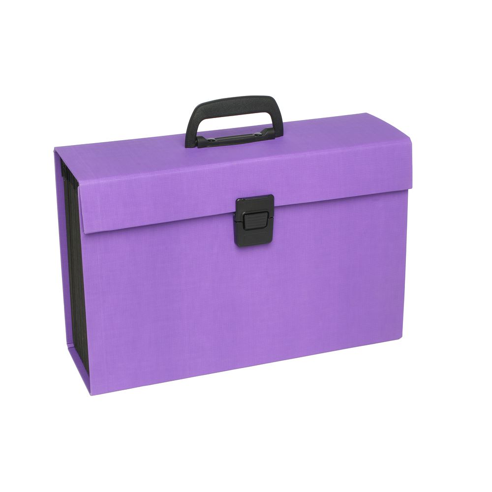 ColourHide My Trusty Expanding Carry File Purple