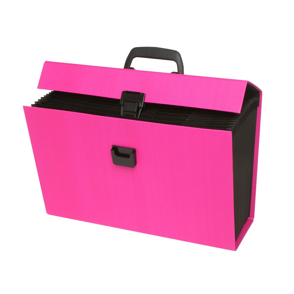 ColourHide My Trusty Expanding Carry File Pink