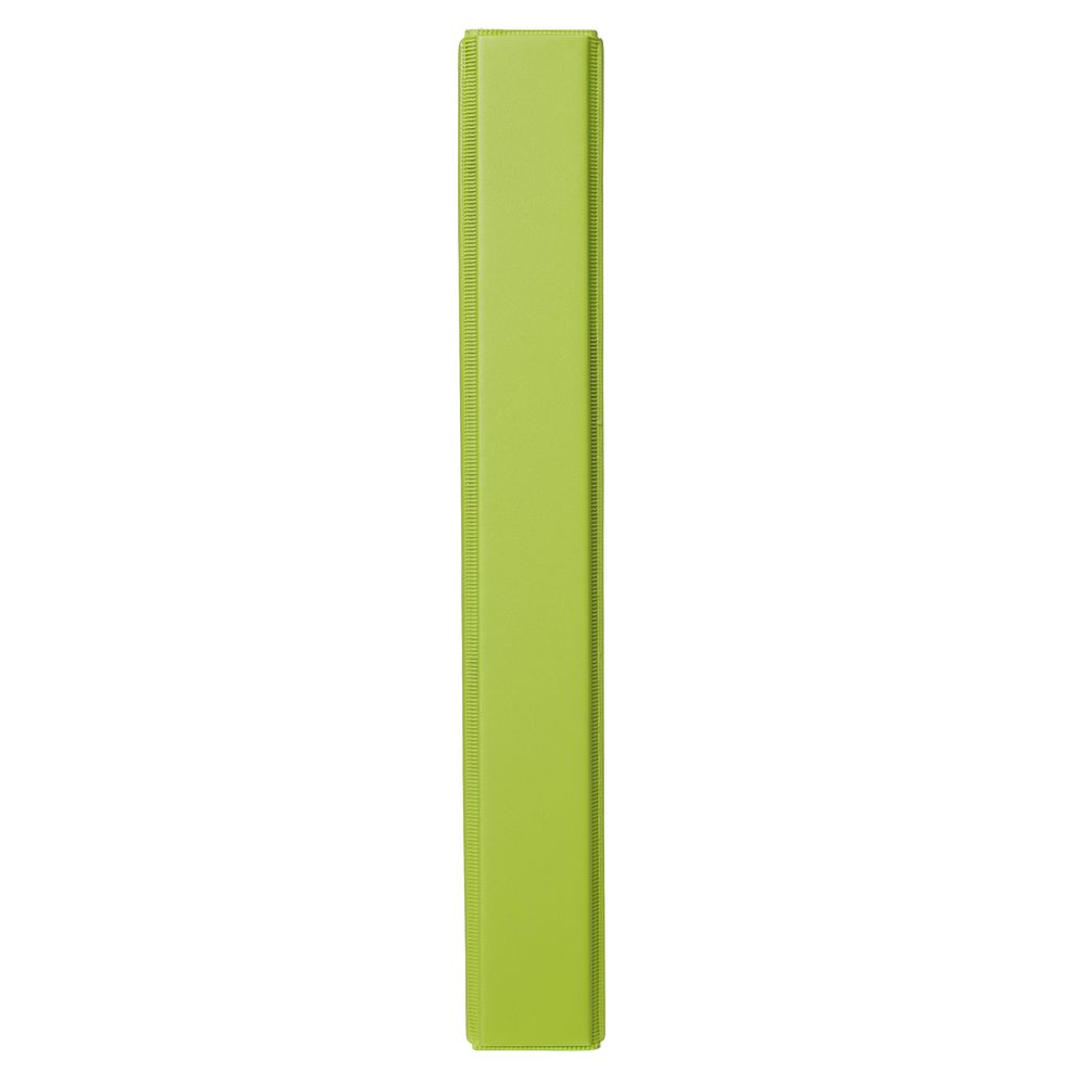 Binder A4 4 D-Ring 25mm Green