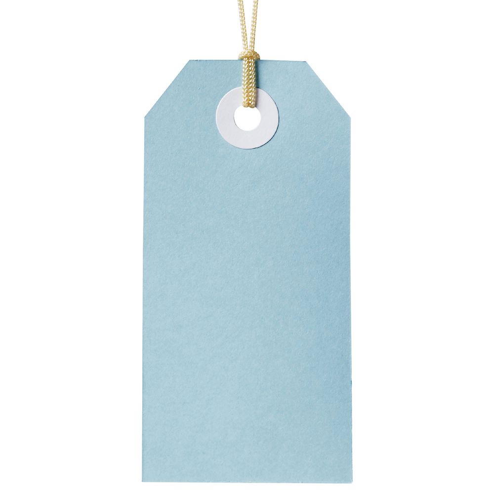 Avery Tag-It with String 96 x 48mm Blue 24 Pack