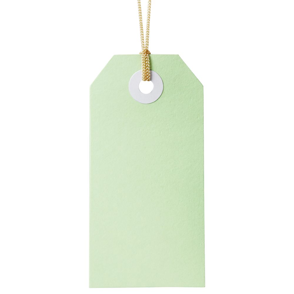 Avery Tag-It with String 96 x 48mm Green 24 Pack