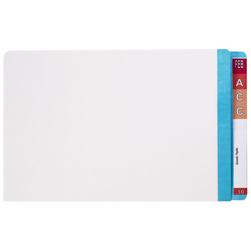 Avery Lateral File with Mylar Tabs White/Light Blue 100 Pack
