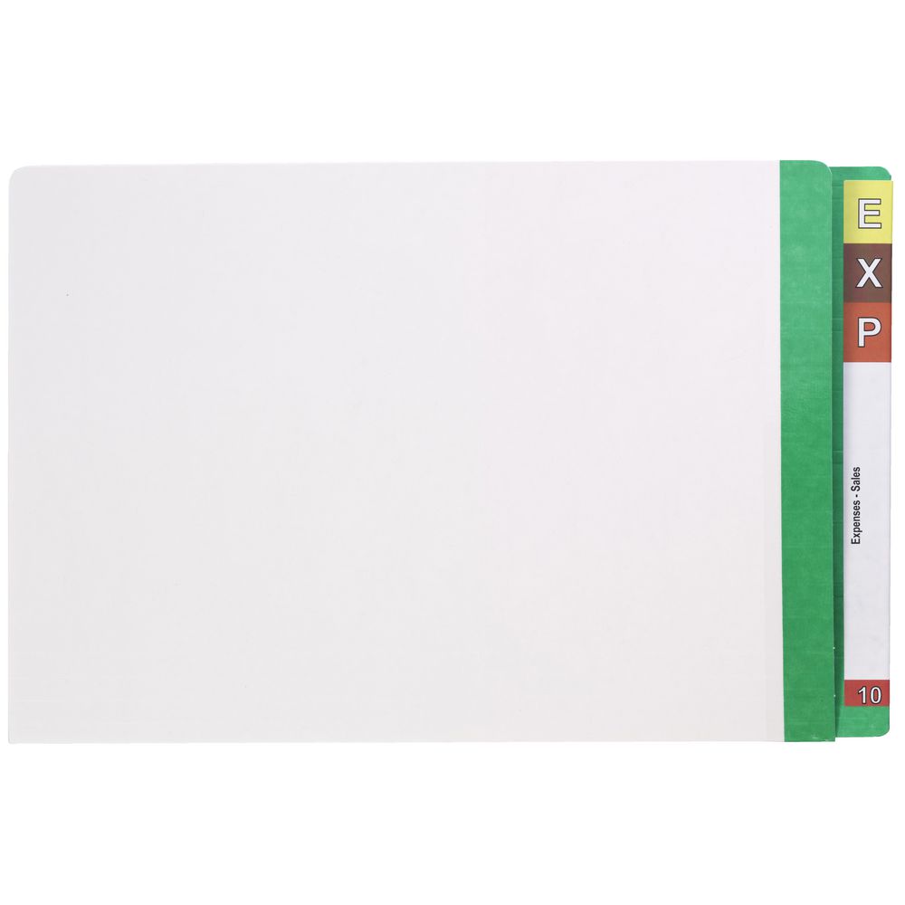 Avery Lateral File with Mylar Tabs White/Light Green 100 Pack