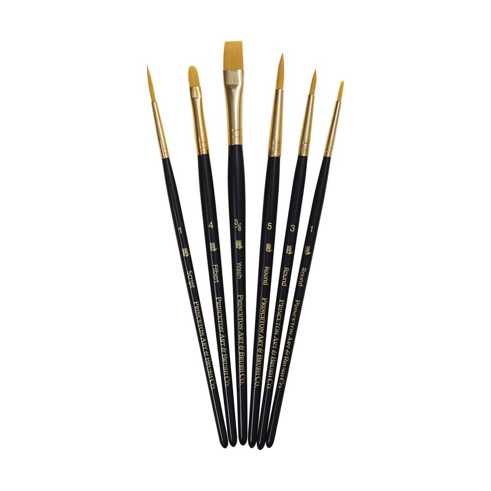Princeton 9132 Paintbrush Set 6 Pack