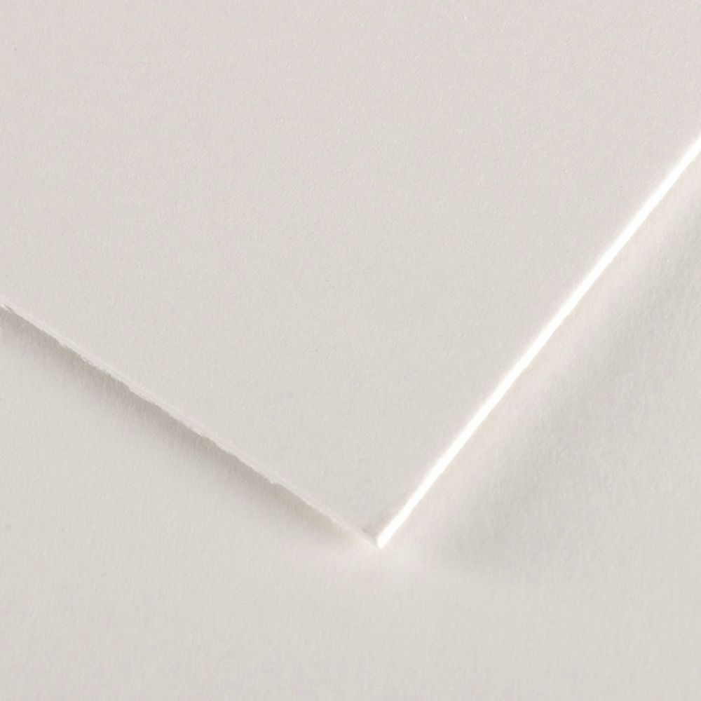 Canson Conservation Board 600 x 800mm 1.8mm White