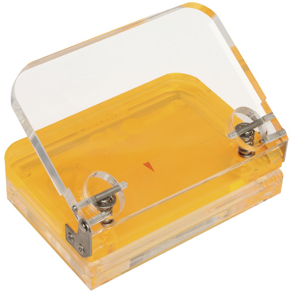 Colourhide Glo My Glowing 2 Hole Punch Orange