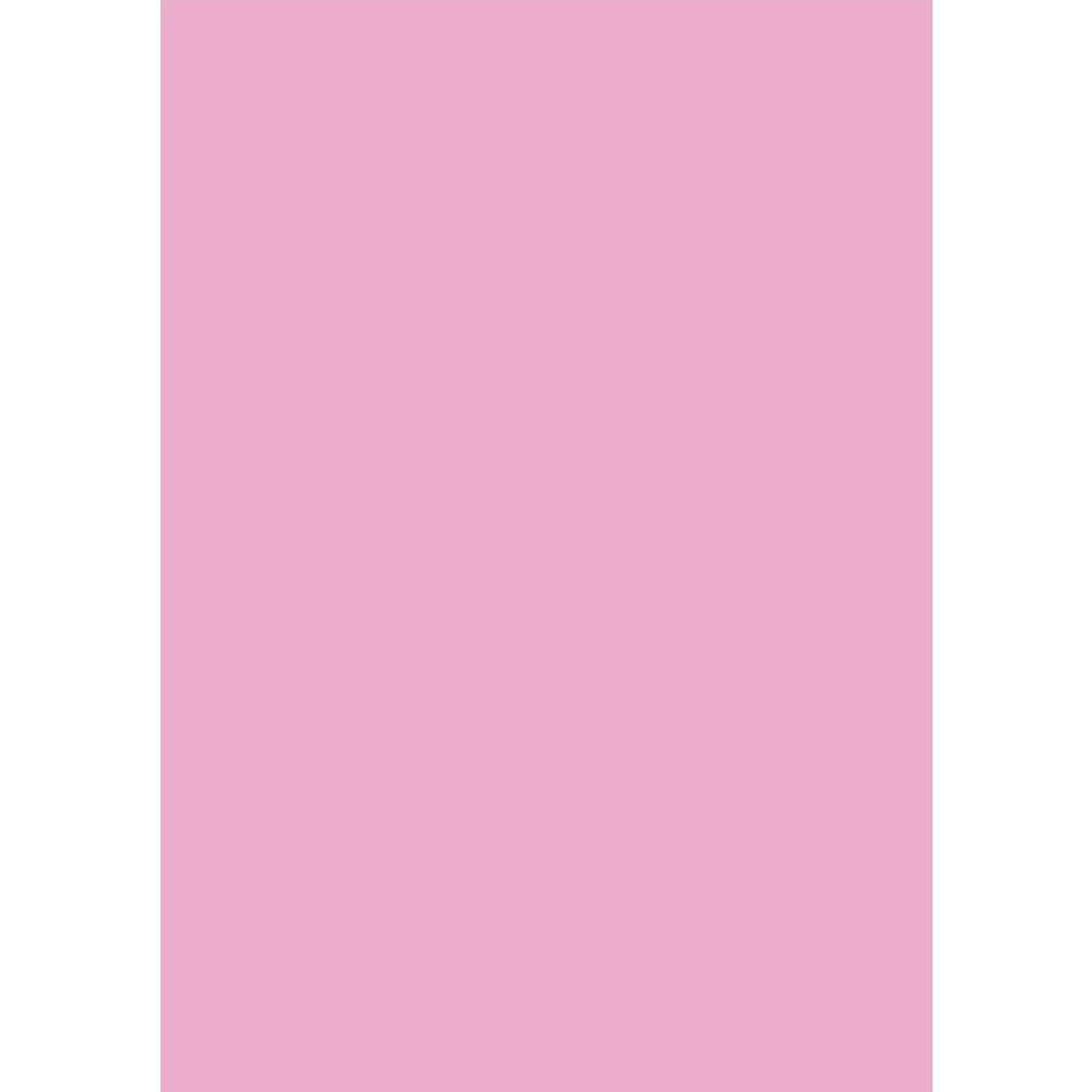 Paper Chic 120gsm A4 Paper Pink Lemonade 10 Pack