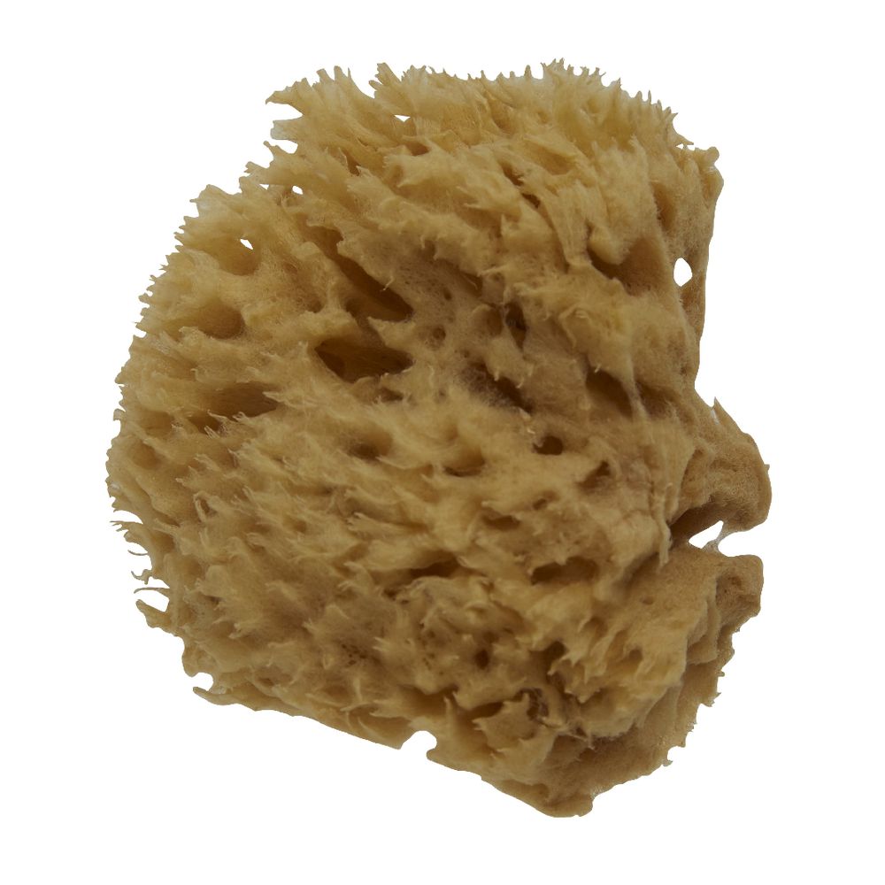 Royal & Langnickel Sea Wool Sponge 3