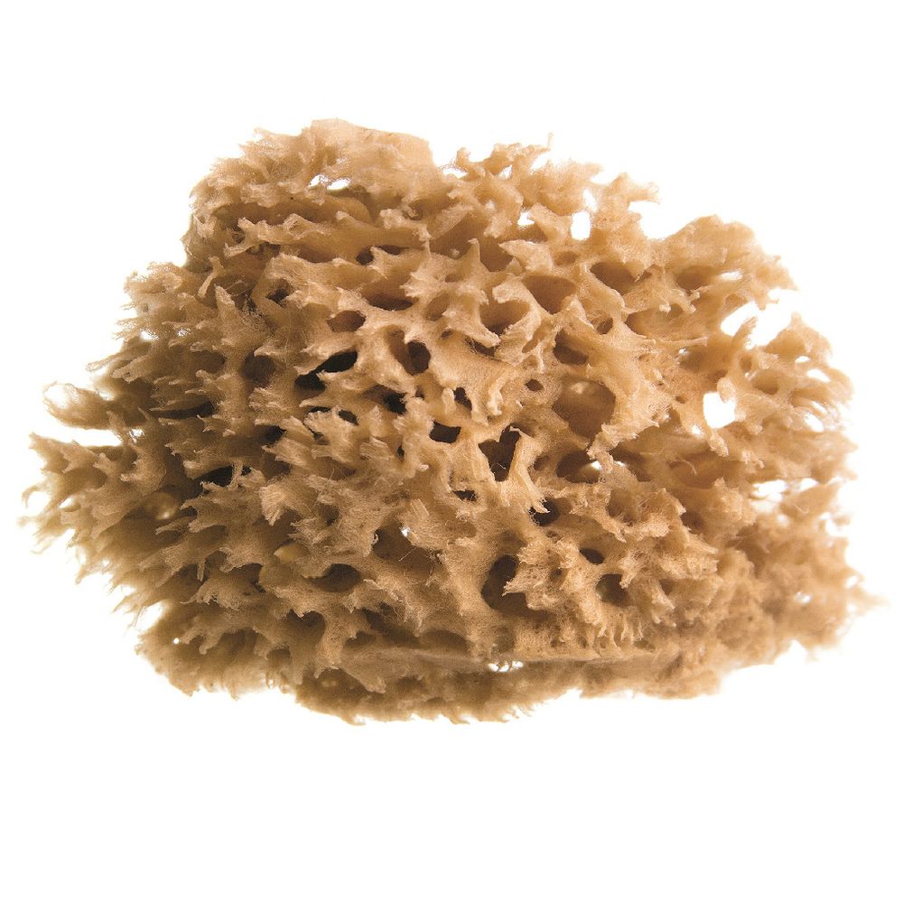 Royal & Langnickel Sea Wool Sponge 4