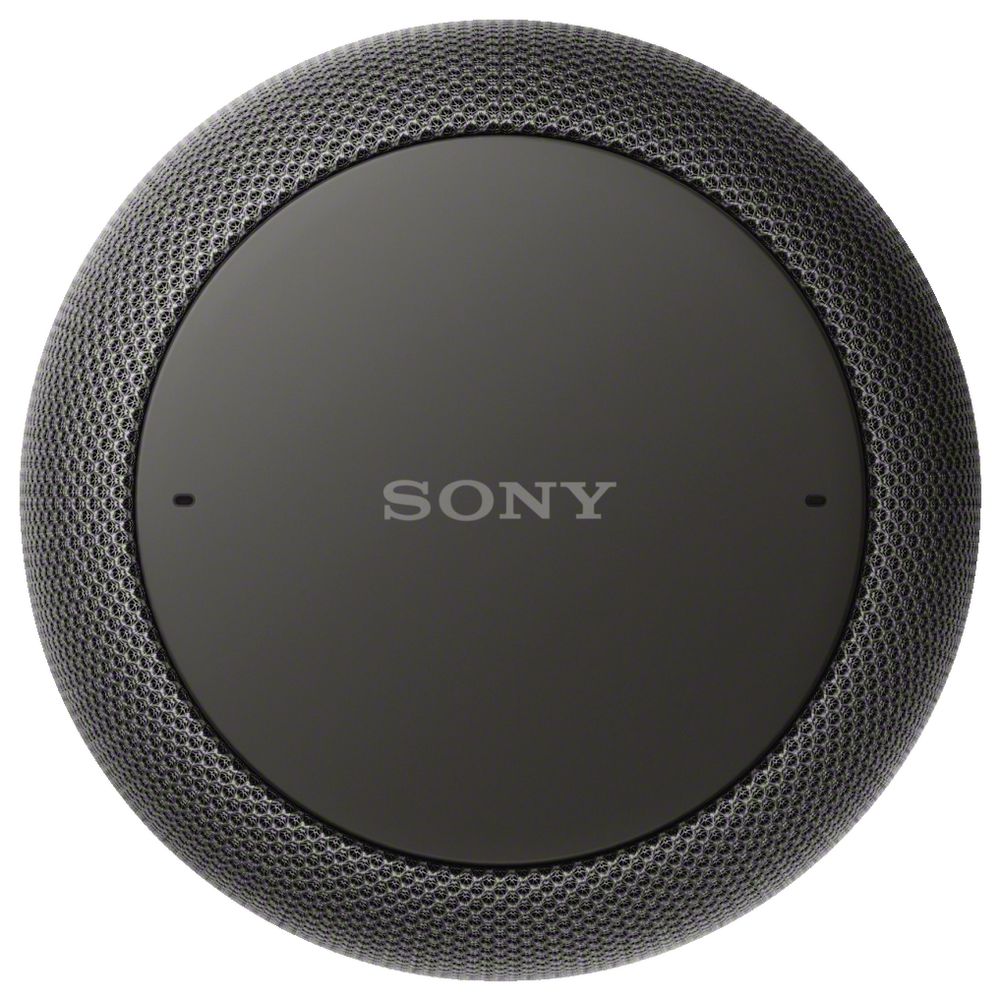 Sony Wireless Speaker with Google Assistant Black LF-S50G