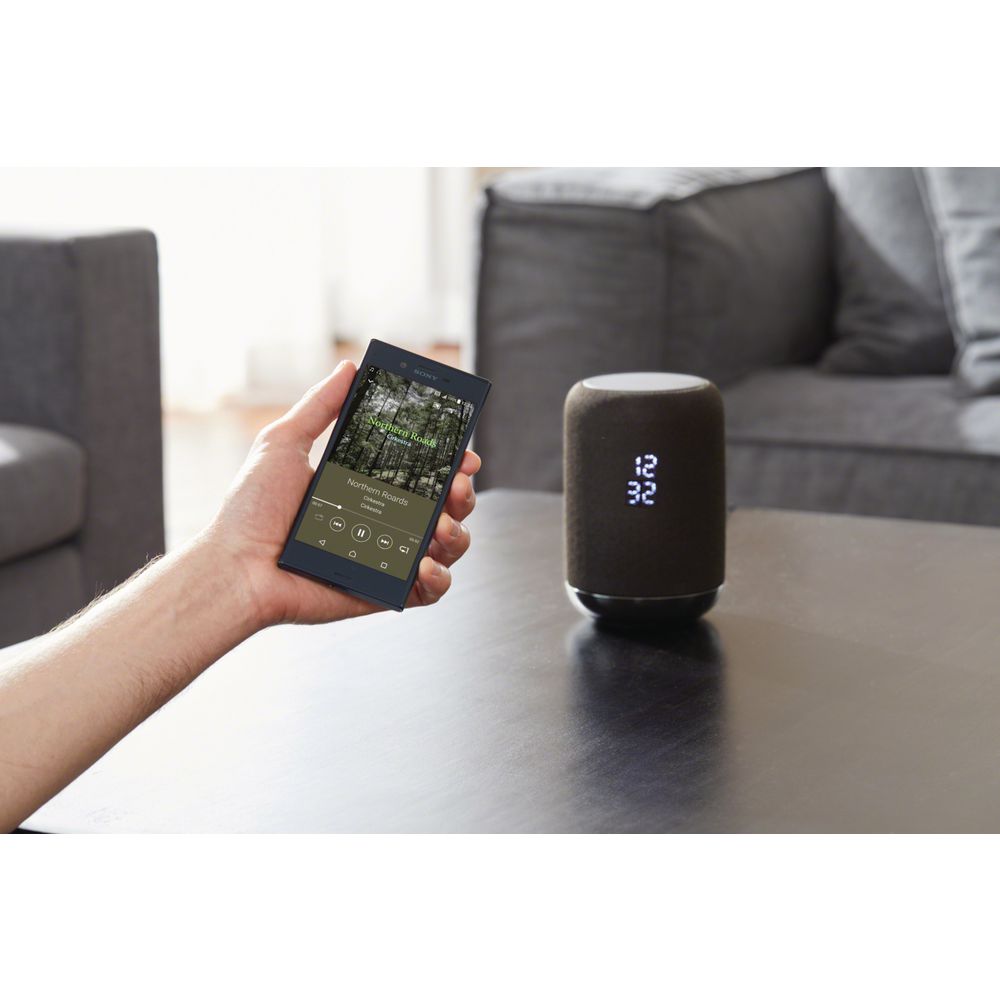 Sony Wireless Speaker with Google Assistant Black LF-S50G