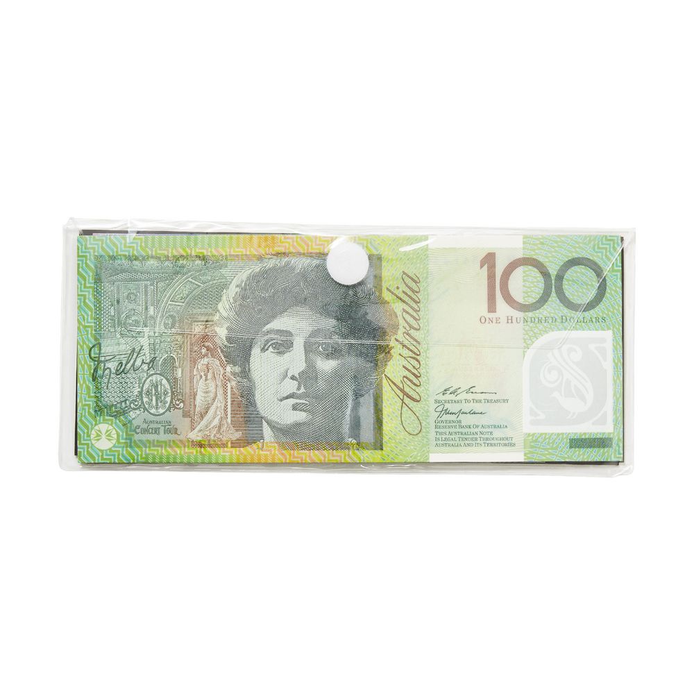 Educational Colours Magnetic Money Coins and Notes