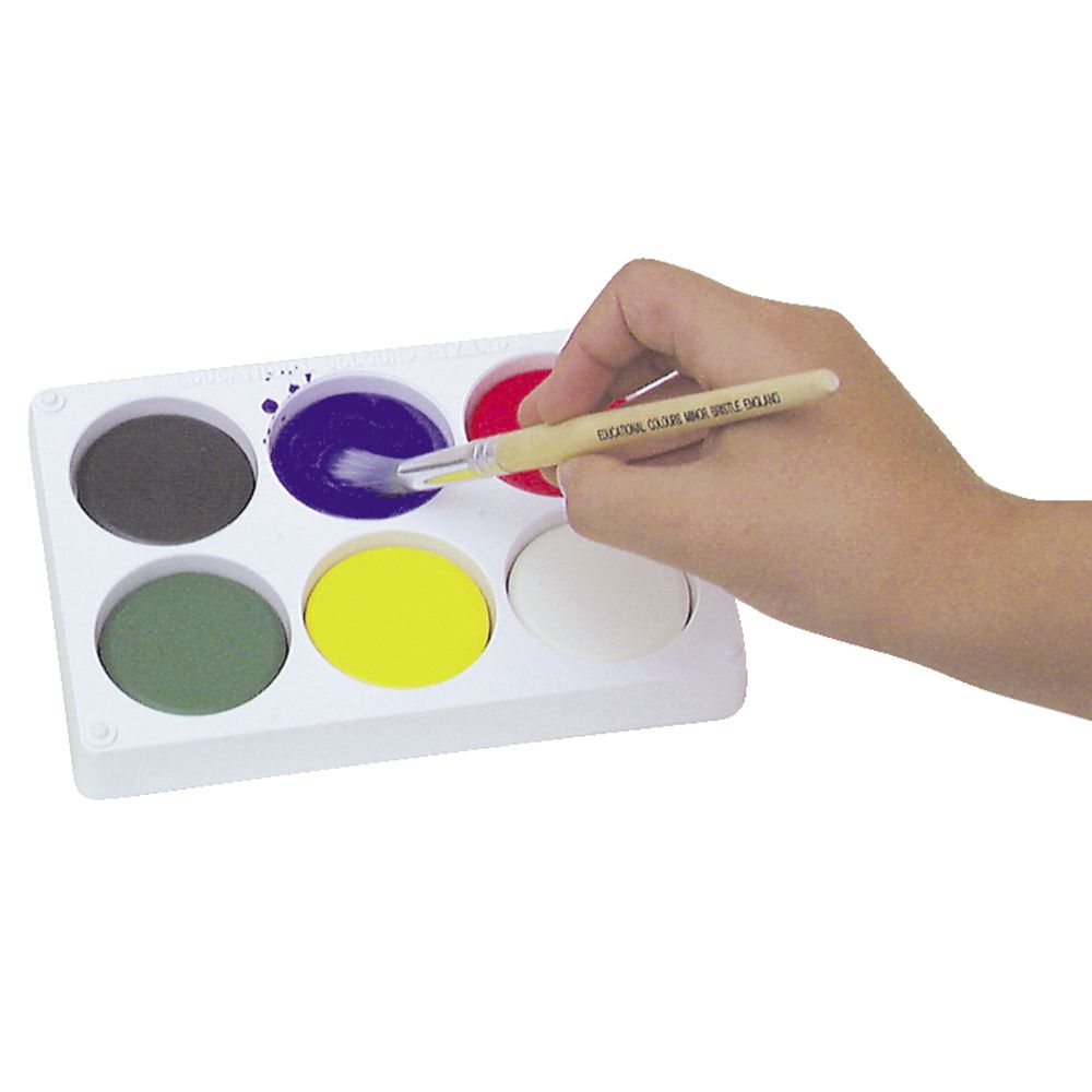Educational Colours Temperablock 6 Colour Paint Set