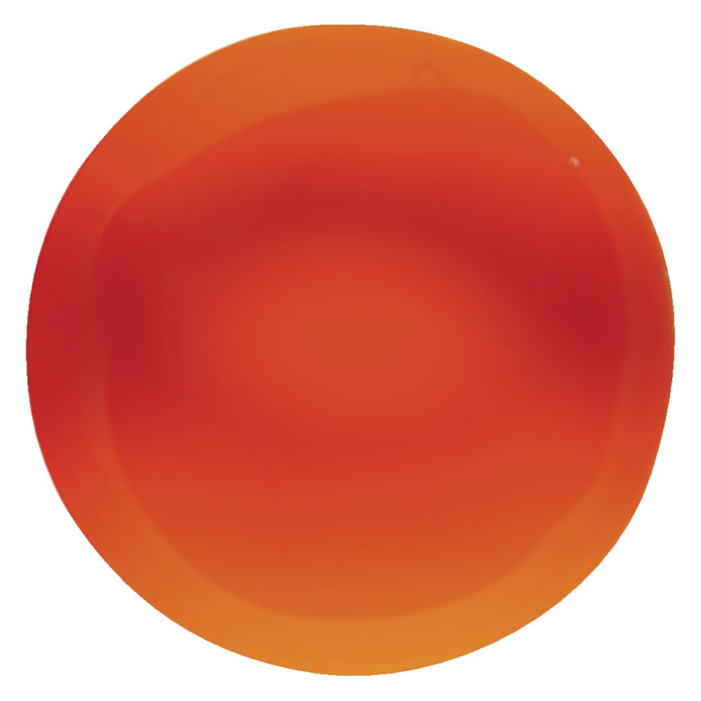 Educational Colours Fluoro Liquicryl Paint 500mL Orange