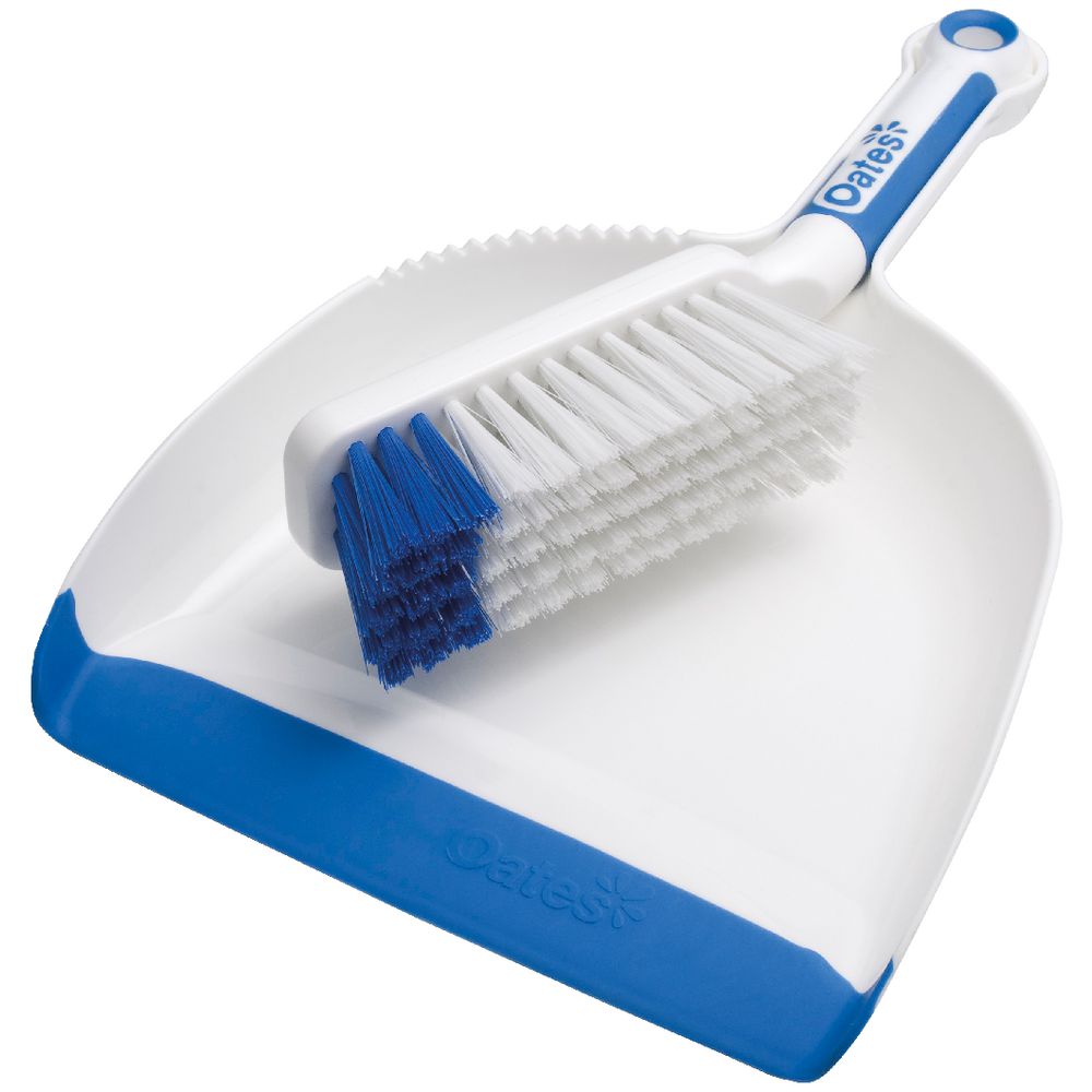 Oates Clean Dustpan and Brush eBay