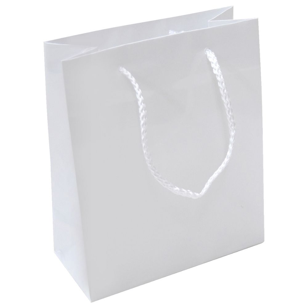 Gift Packaging Carry Bags Small White 