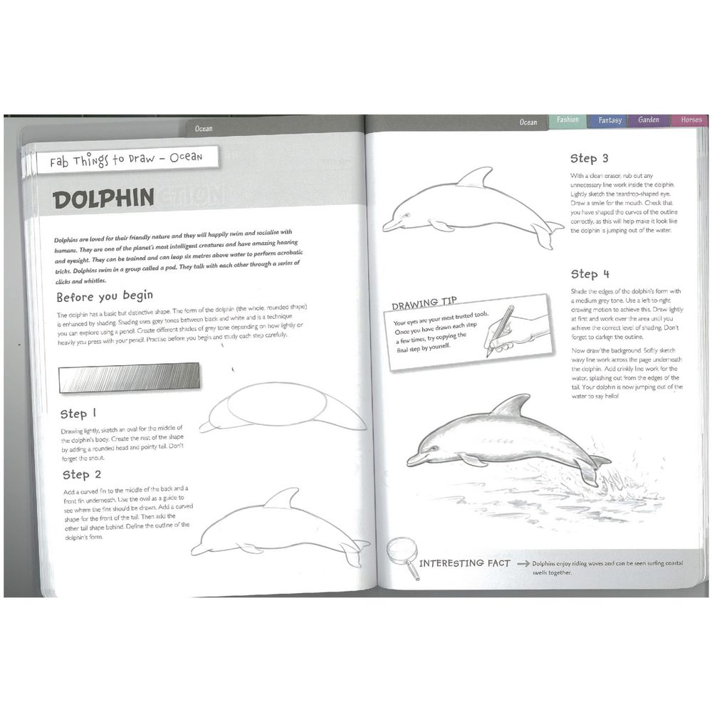 Zap! Fab Things To Draw Book