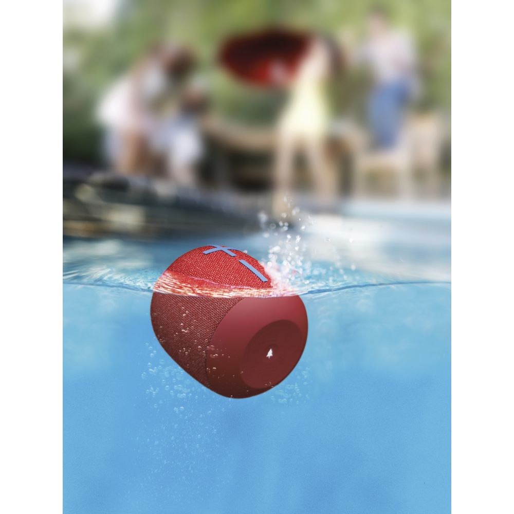 officeworks wonderboom