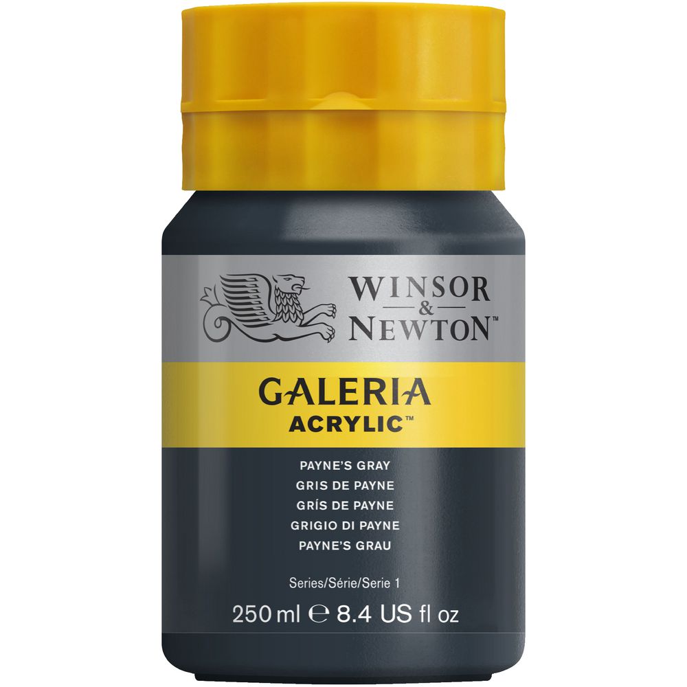 Winsor & Newton Galeria Acrylic Paint 250mL Paynes Grey