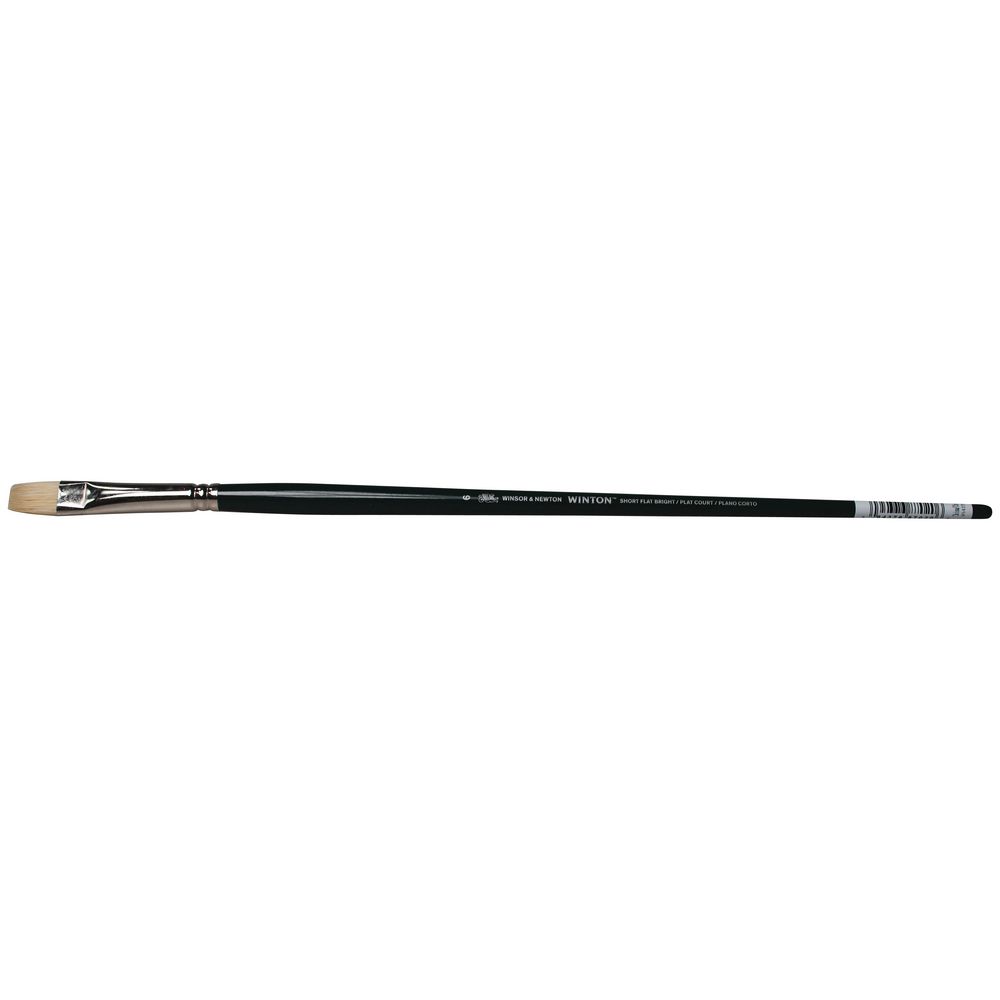 Winsor & Newton Winton Short Flat Paintbrush Size 6