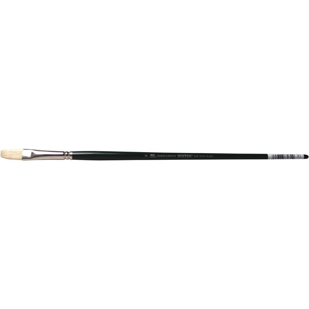 Winsor & Newton Winton Long Flat Paintbrush Size 6